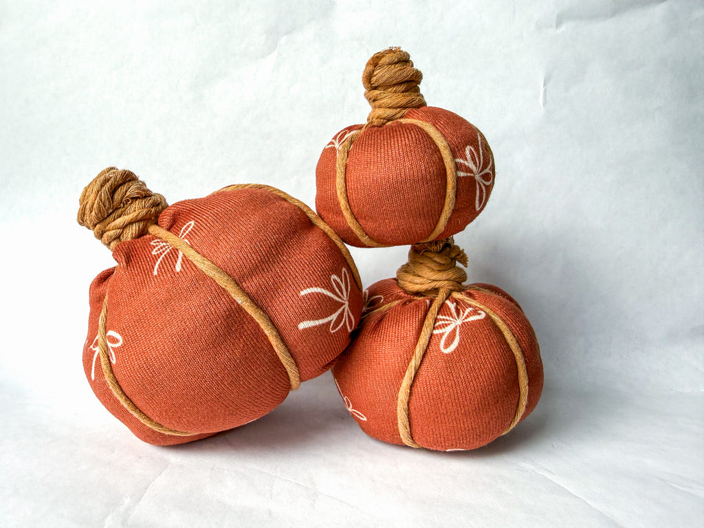 Pumpkin DIY Kit