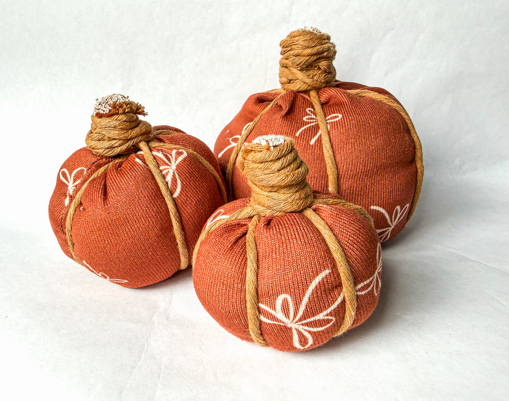 Pumpkin DIY Kit