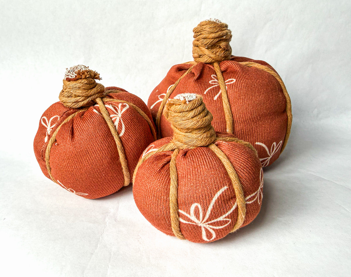 Pumpkin DIY Kit